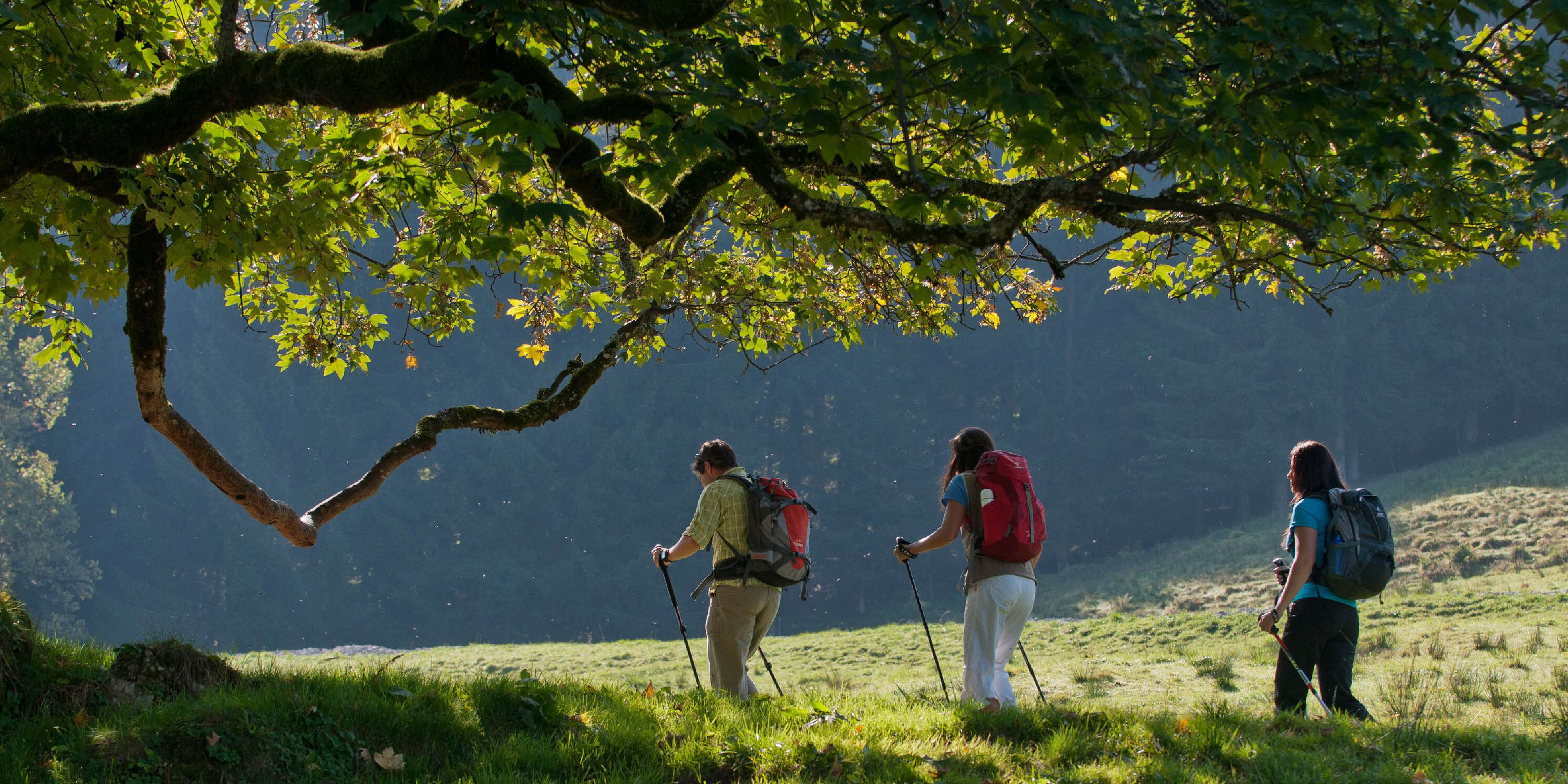 Wanderung zu den Geologischen Orgeln